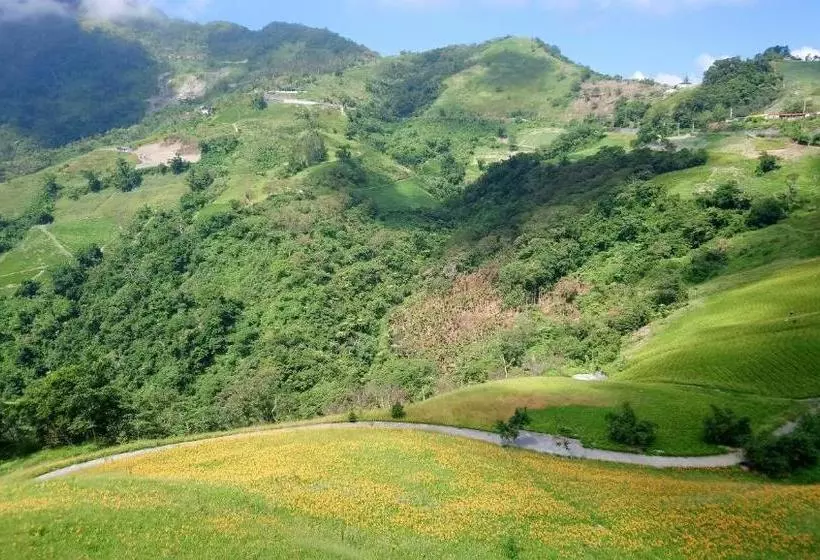 تختخواب و صبحانه Summer Traveler No.1