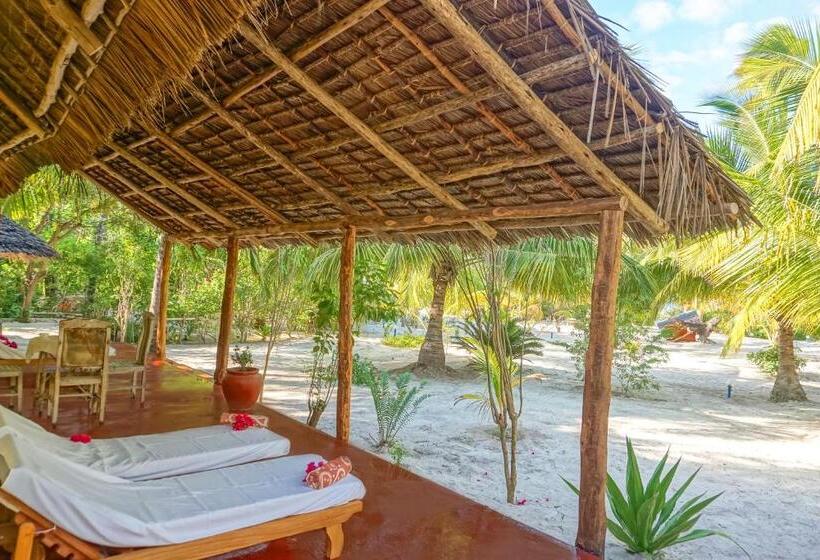 هتل Ifa Beach Resort