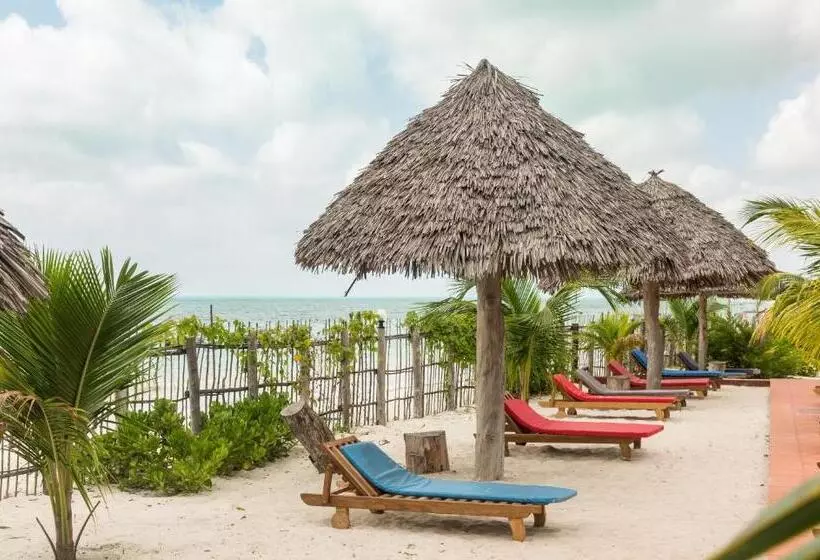 هتل Ifa Beach Resort