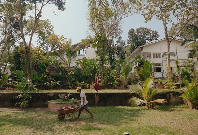 Курорт Kirinuga Boutique Retreat