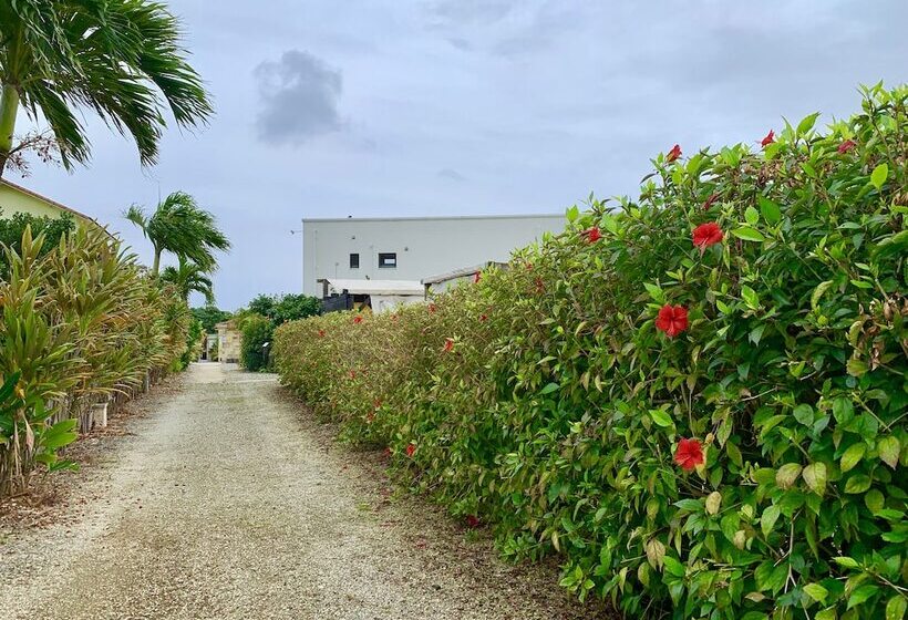 Glamping Resort Yokabushi