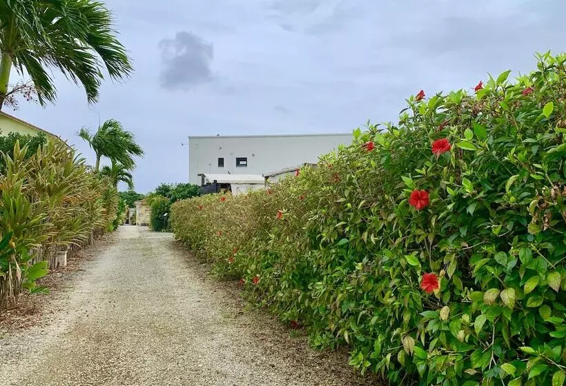 Glamping Resort Yokabushi