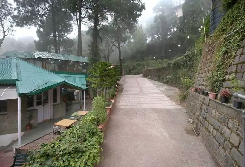 ホテル Blossom Resort