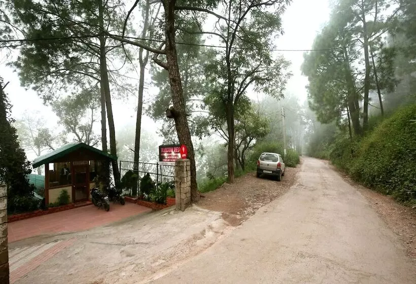 ホテル Blossom Resort