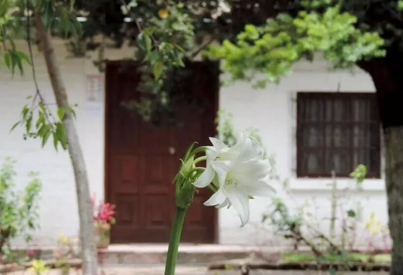 Hotelli La Primavera