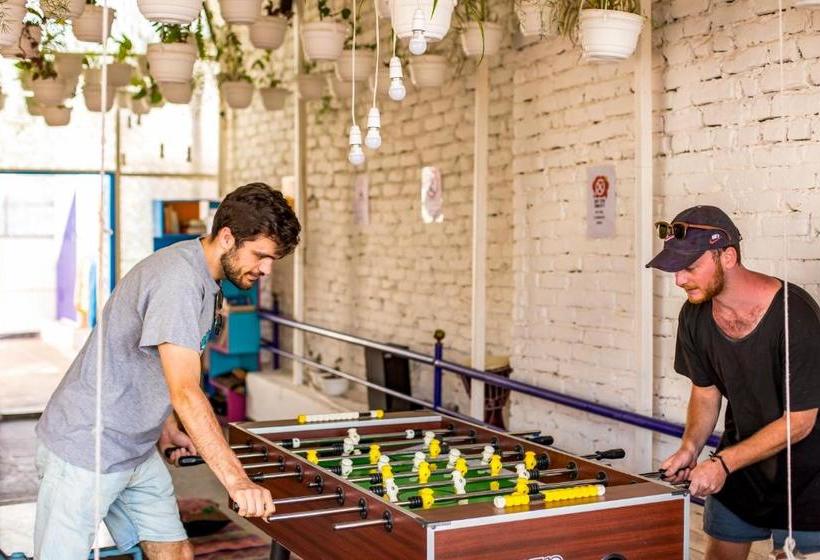 Albergue Gostops Udaipur