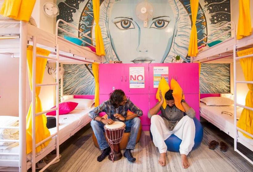 Albergue Gostops Udaipur