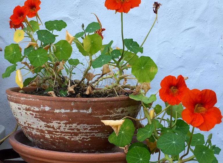 צימר Rancho Del Inglés