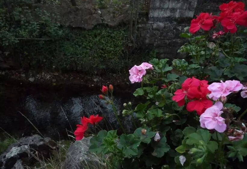 ホテル Albergo Il Giardino Del Rio