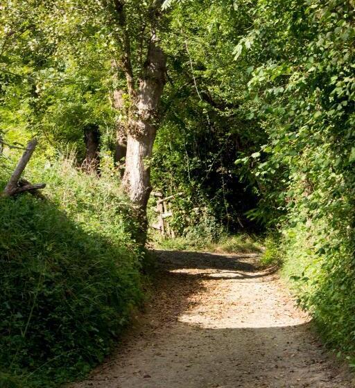 호텔 Doña Gaudiosa