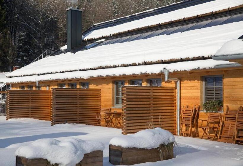 酒店 Gästehaus Der Geroldsauer Mühle