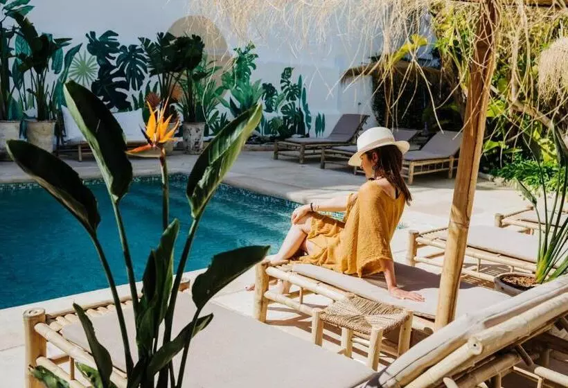 La Bohemia Del Rio Boutique Hotel   Adults Only