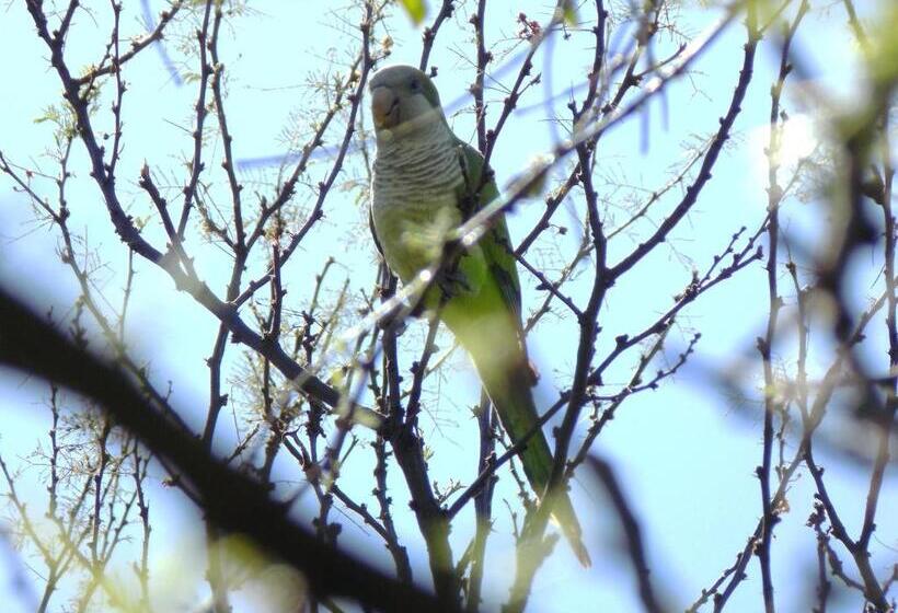 Otel La Cautiva De Ramirez