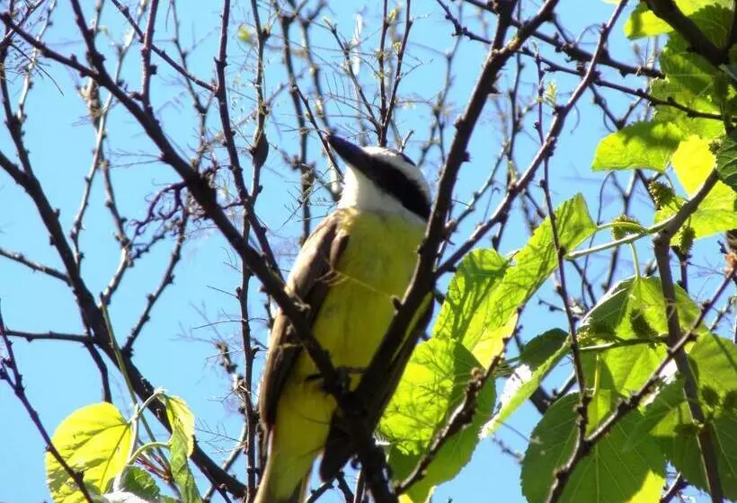Hotelli La Cautiva De Ramirez