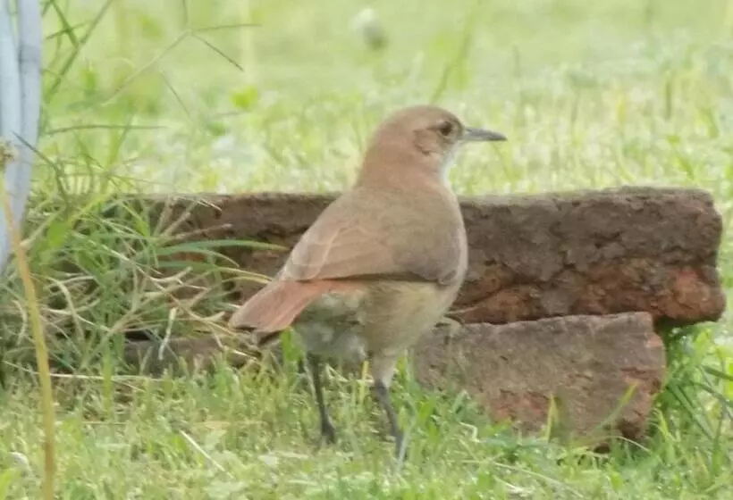 Hotelli La Cautiva De Ramirez