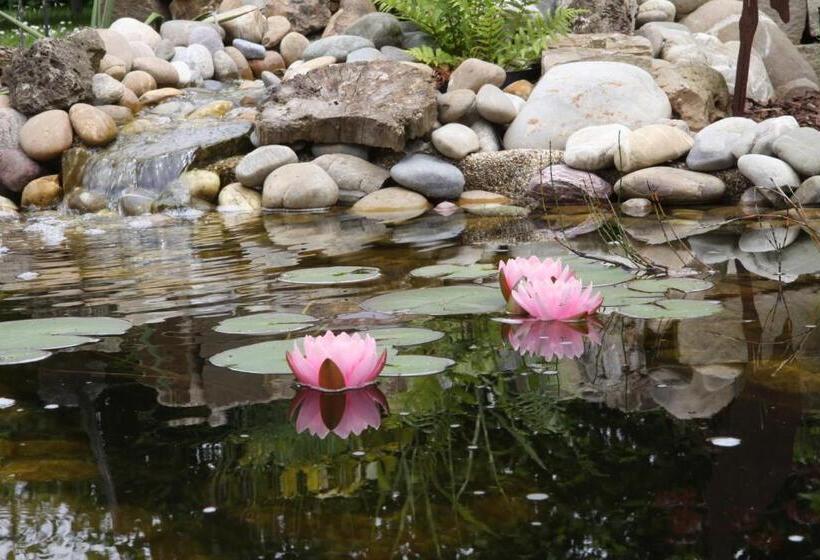 酒店 Natürlich Famos Schlafen