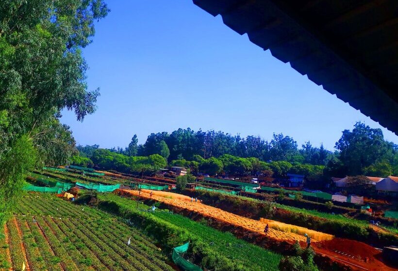 酒店 Strawberry Homes