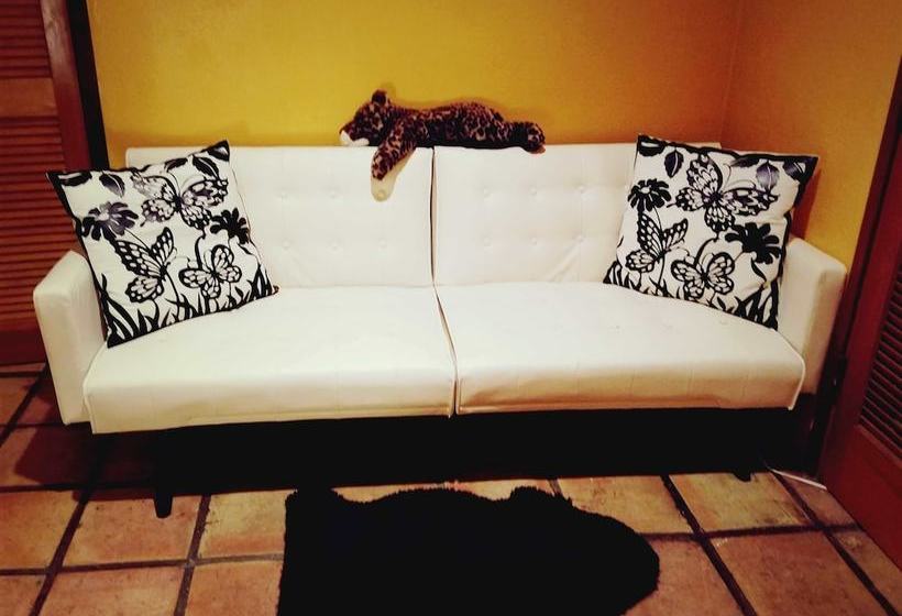 مبيت وإفطار The Bel Air Treehouse