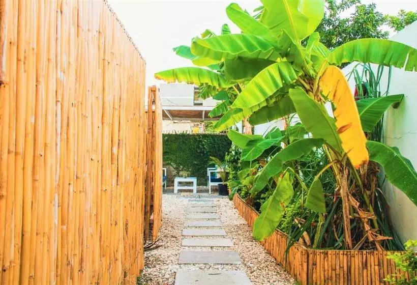 Eventuality B&b New Kingston