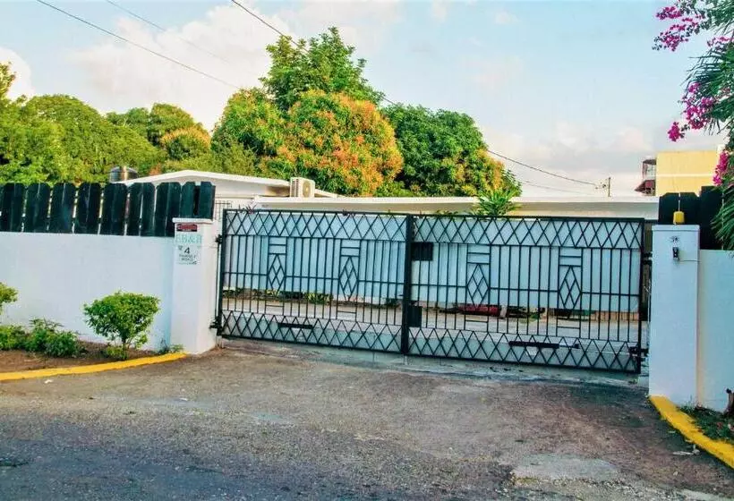 Eventuality B&b New Kingston