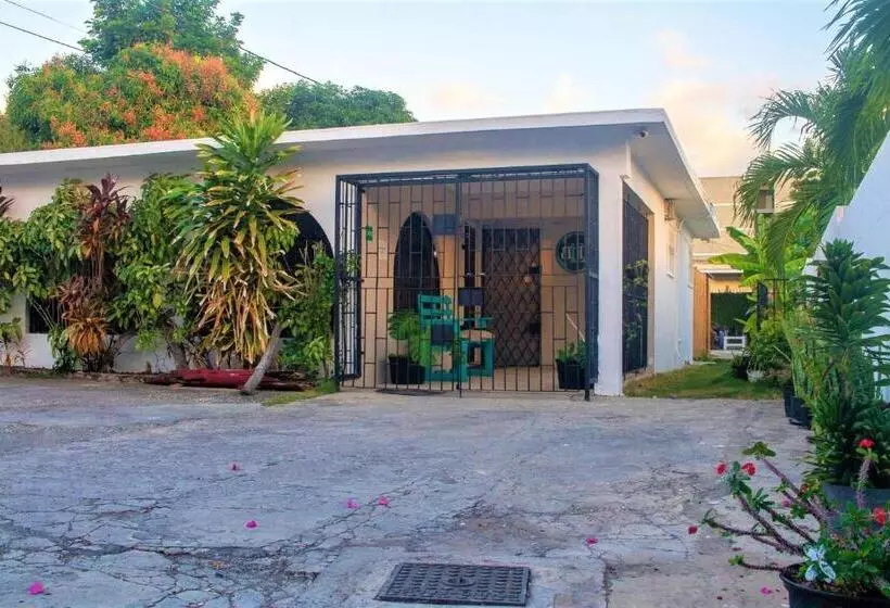 Eventuality B&b New Kingston