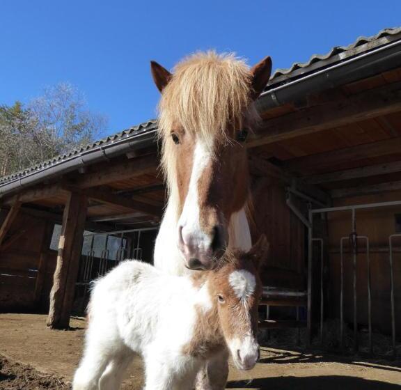 Отель Al Sonnenhof