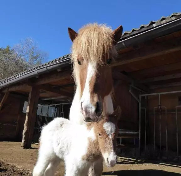 Hotelli Al Sonnenhof