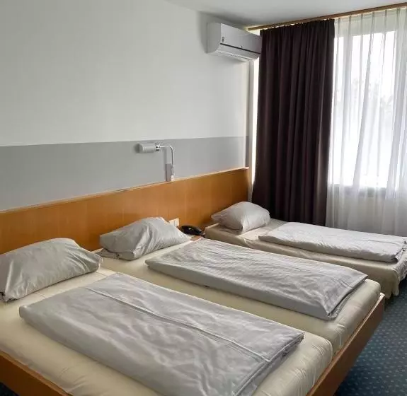 Hotelli Schwanau Garni