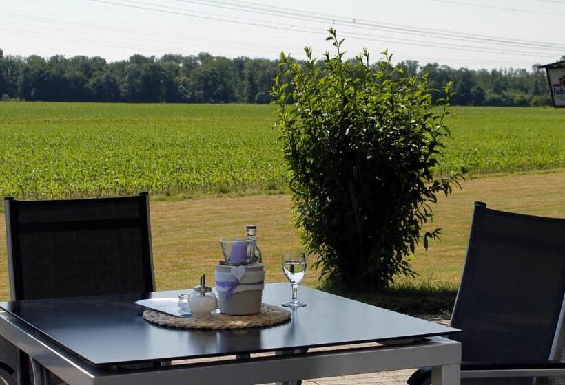 בית מלון כפרי Schwanau Garni