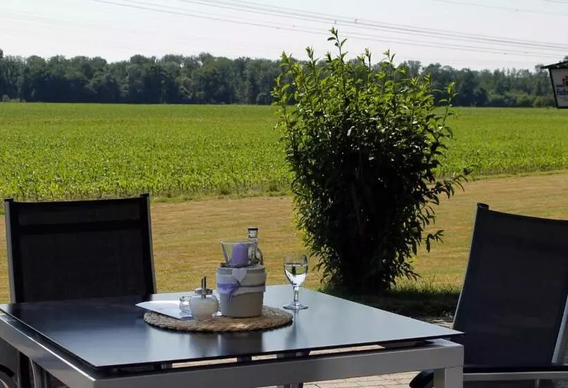 Hotelli Schwanau Garni