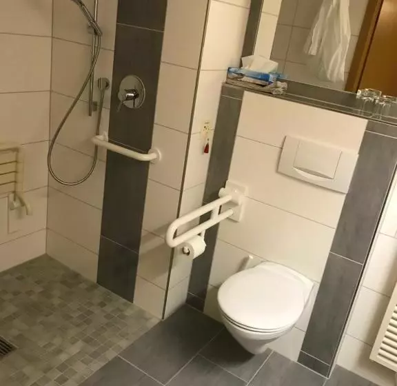 Hotelli Schwanau Garni