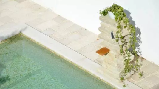 Percebes Exclusive B&b