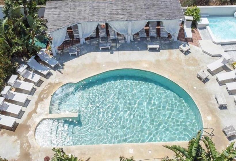 ベッドアンドブレックファースト Blue And Blue