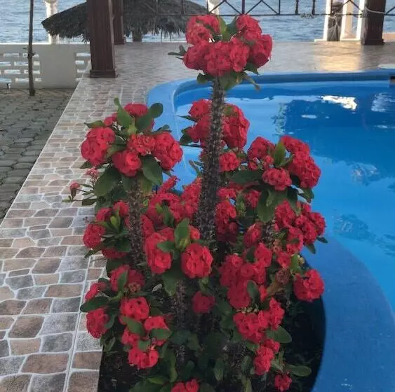 Aamiaismajoitus (B&B) Maxanika