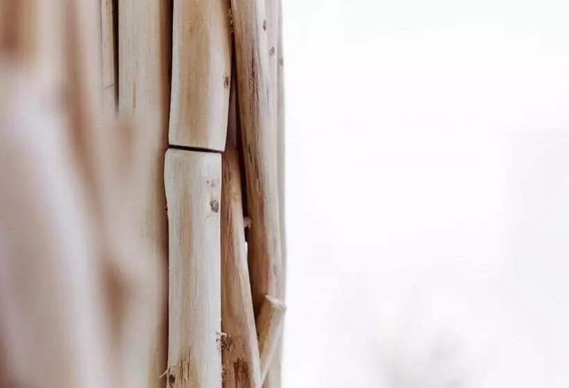 Hotelli Mane Boutique