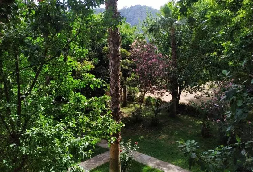 Hotelli Olympos Yavuz