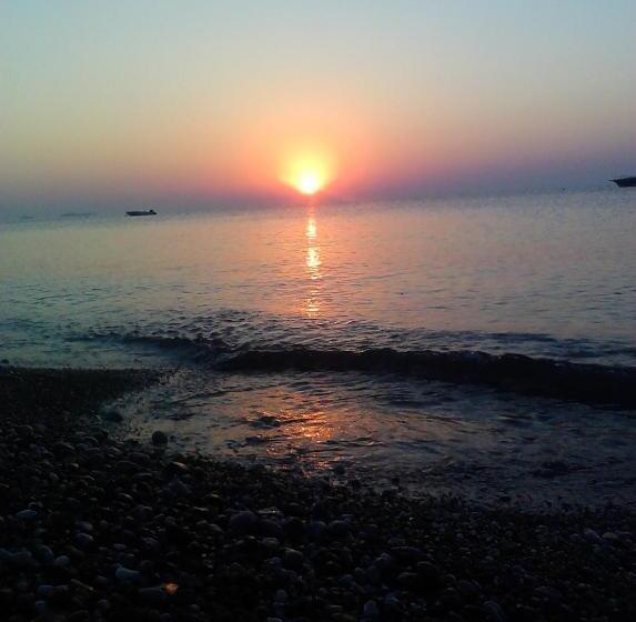 فندق Olympos Yavuz