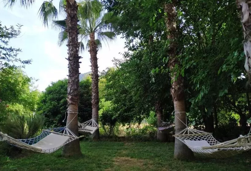 Hotelli Olympos Yavuz