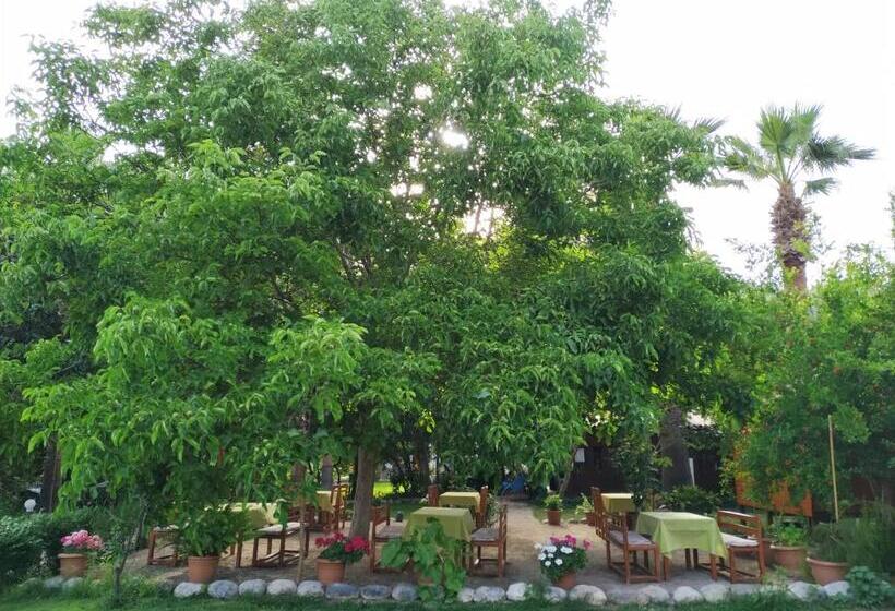 فندق Olympos Yavuz