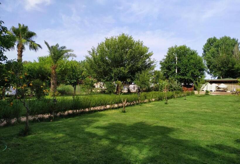 فندق Olympos Yavuz