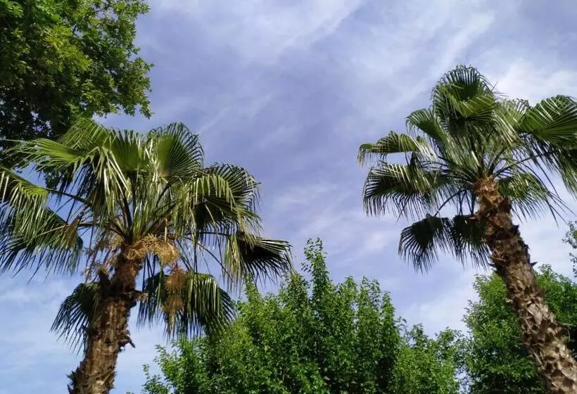 Hotelli Olympos Yavuz