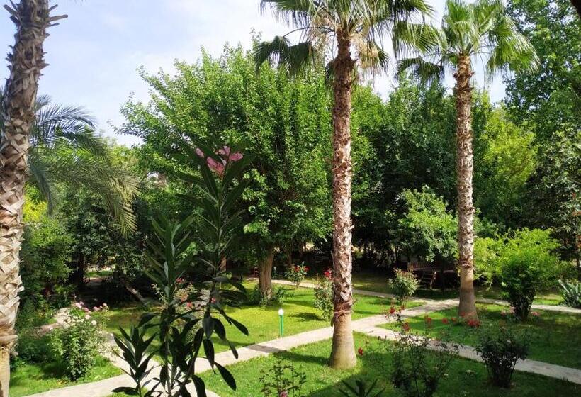 فندق Olympos Yavuz