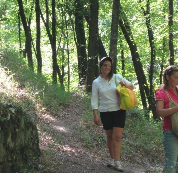 צימר Vecchio West