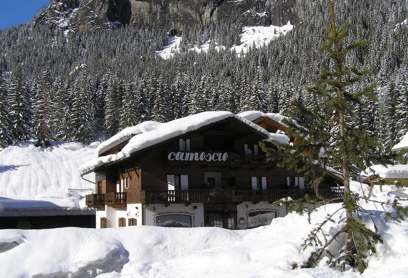 בית מלון כפרי Camoscio