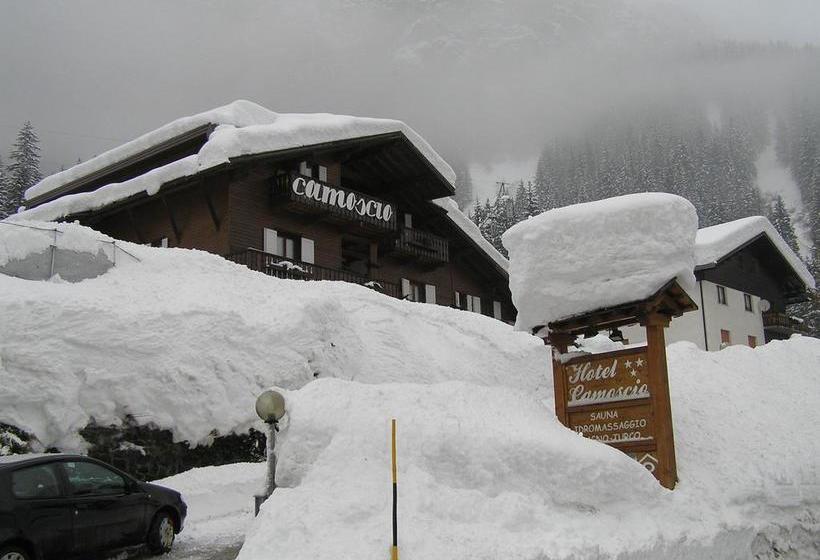 בית מלון כפרי Camoscio