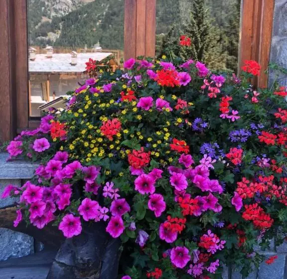 هتل Flora Alpina