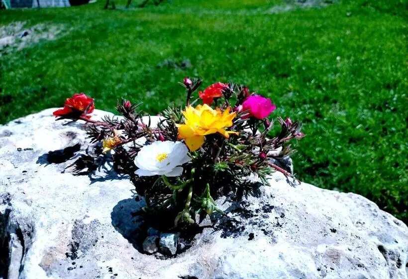 هتل Flora Alpina