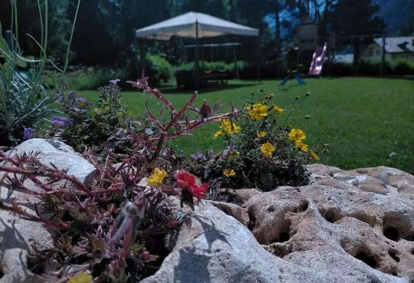 هتل Flora Alpina