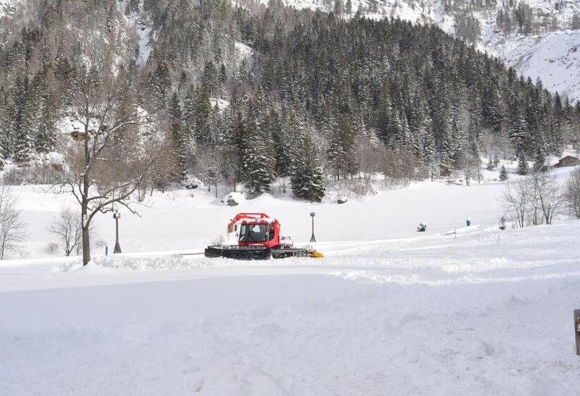 ホテル Flora Alpina