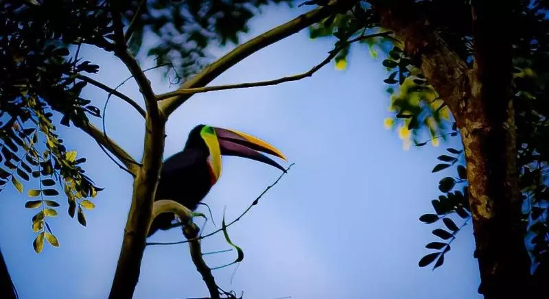 Jaco Hotel Docelunas